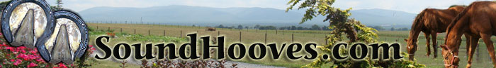 soundhooves-meadow-banner