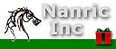 Nanric logo