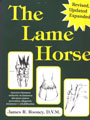 Lame Horse